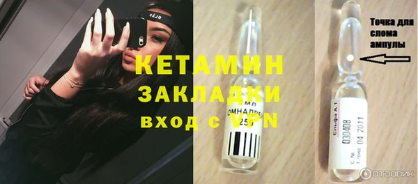 амф Снежногорск