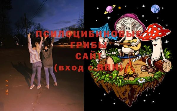 дживик Сосновый Бор